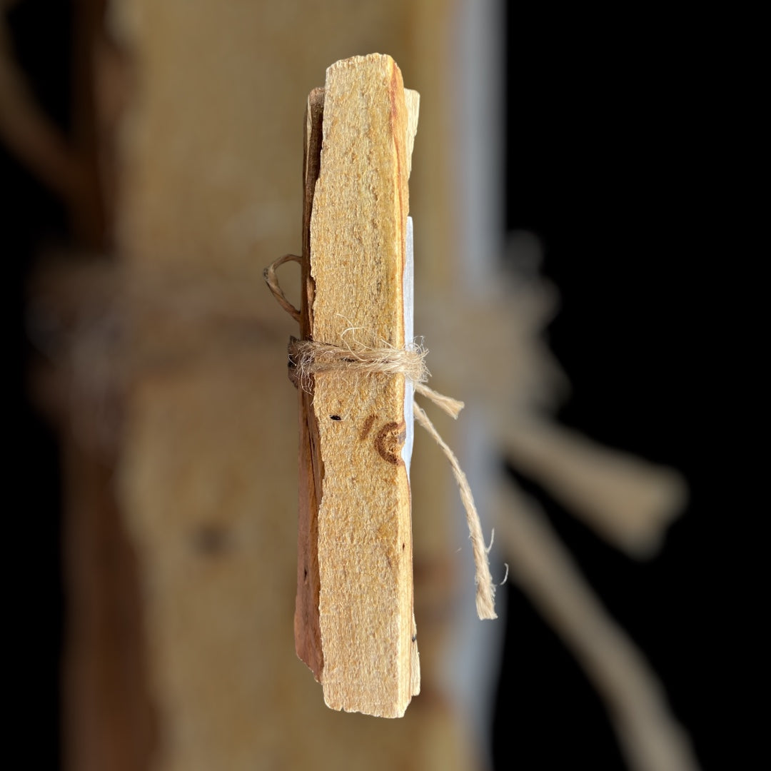 Palo Santo with Crystal