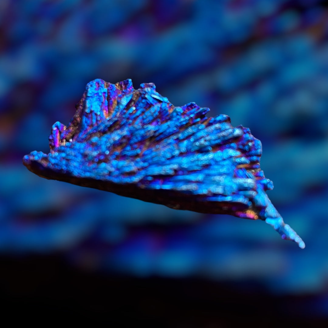 Kyanite Crystal